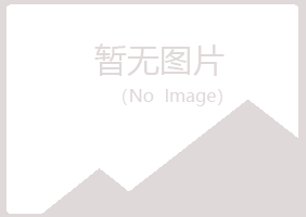 保山隆阳夏岚银行有限公司